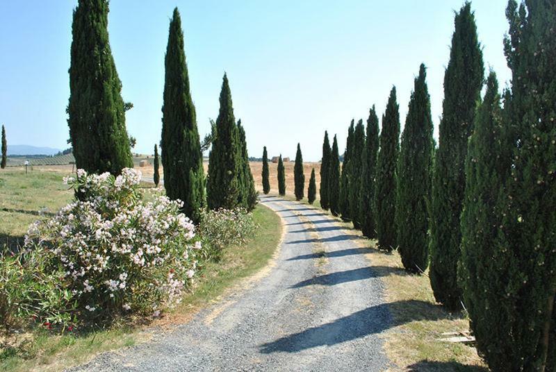 Agriturismo Il Poggio Casale Marittimo Exterior photo